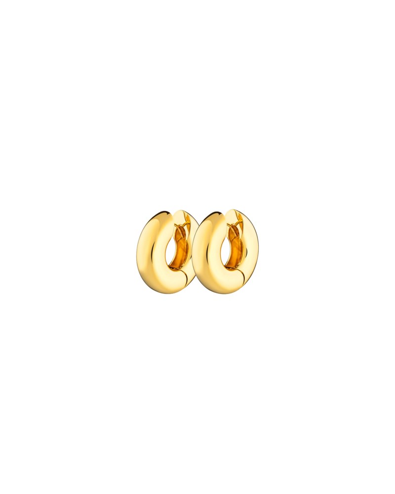 Örhängen timeless chunky vanity hoops guld 1