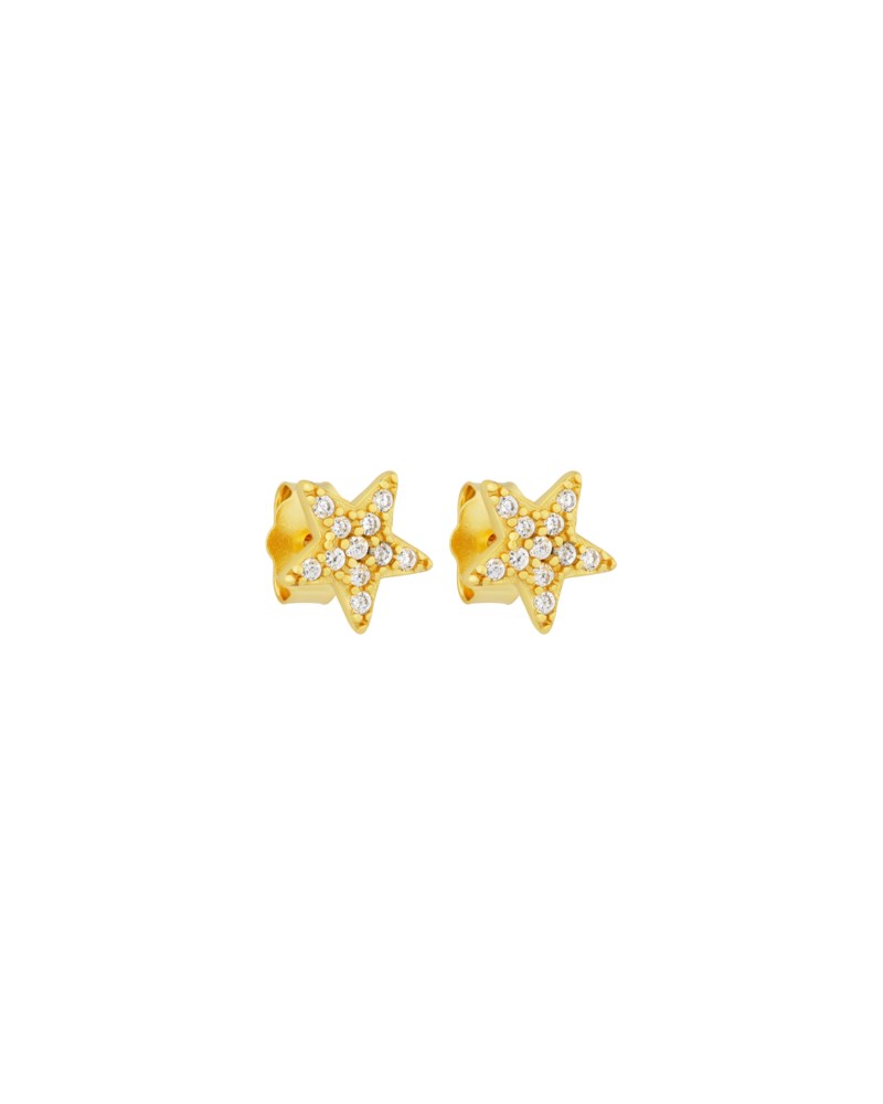 Örhängen signature petite star studs crystal guld 1