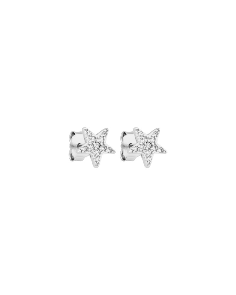 Örhängen signature petite star studs crystal silver 1