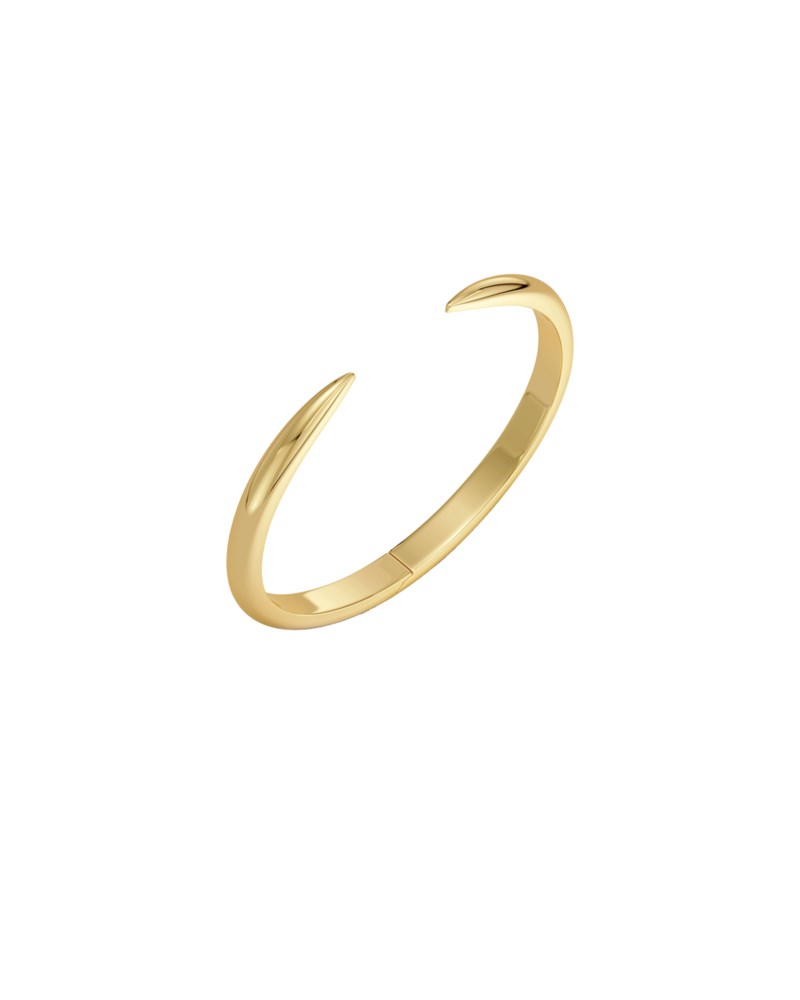 Armring crest bangle förgyllt stål 1