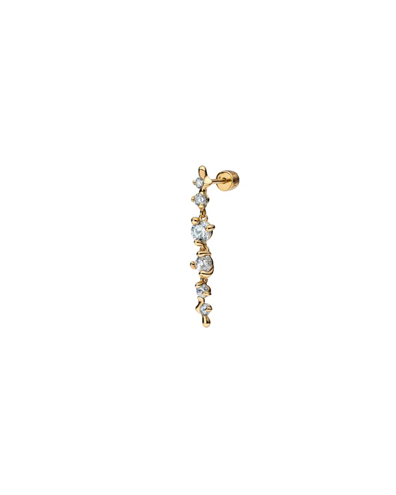 Örhänge arctic earring förgyllt silver 1