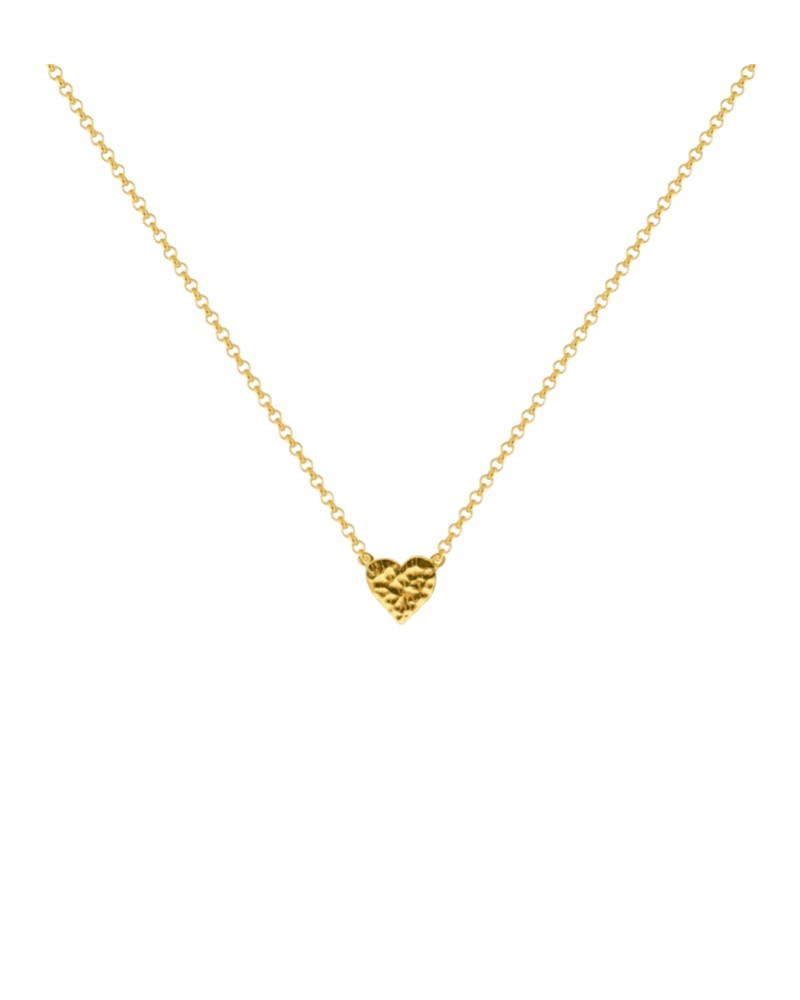 Halsband wildheart necklace förgyllt silver 1