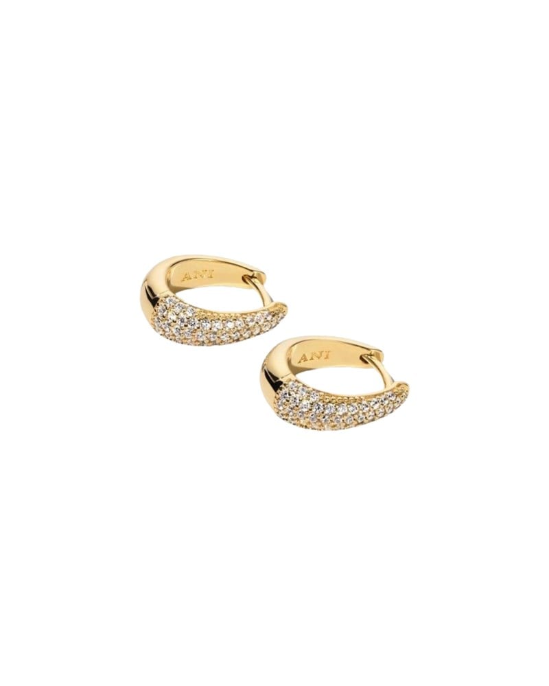 Örhängen pavé ellipse earrings