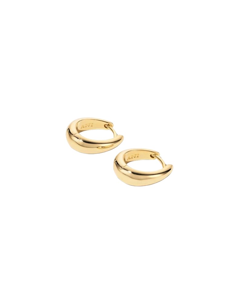 Örhängen ellipse earrings silverpläterad mässing 7