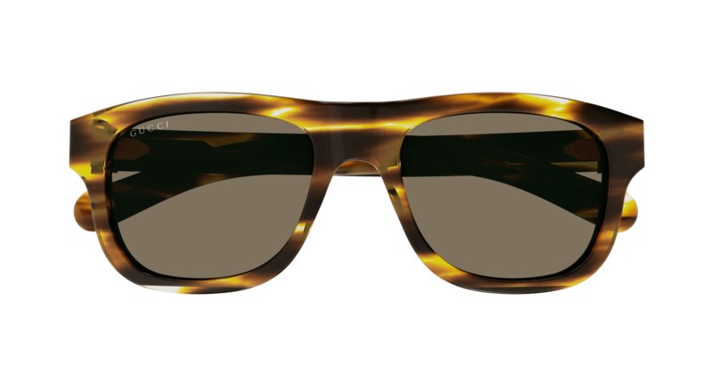 Solglasögon gg1509s havana brown 1