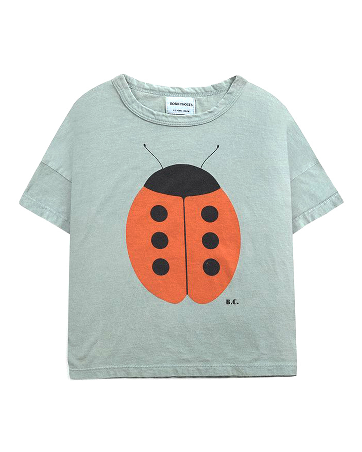 ladybug t shirt