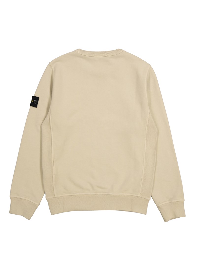 Sweatshirt 2