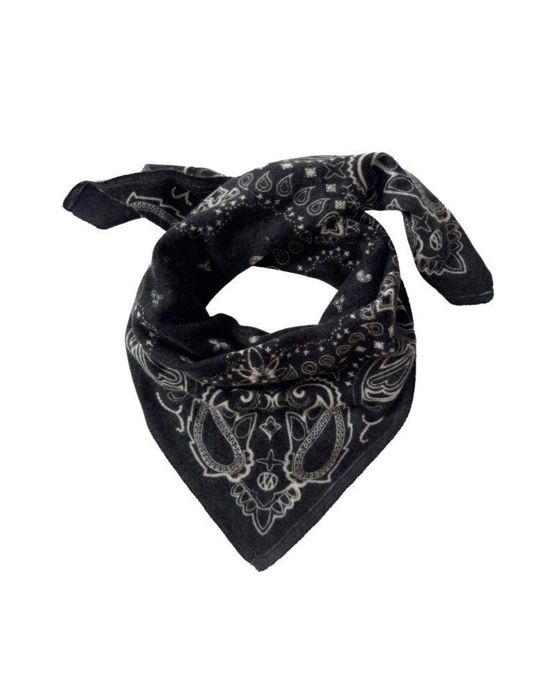 Scarf paisley cashmere