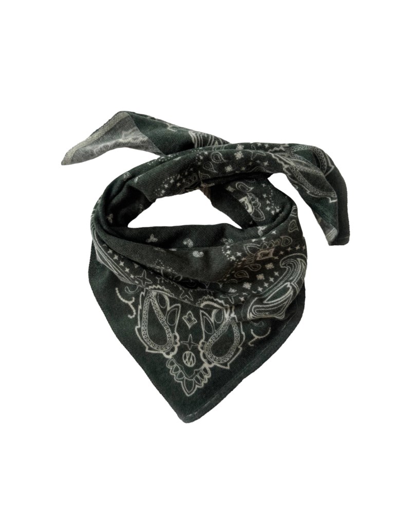 Scarf paisley cashmere
