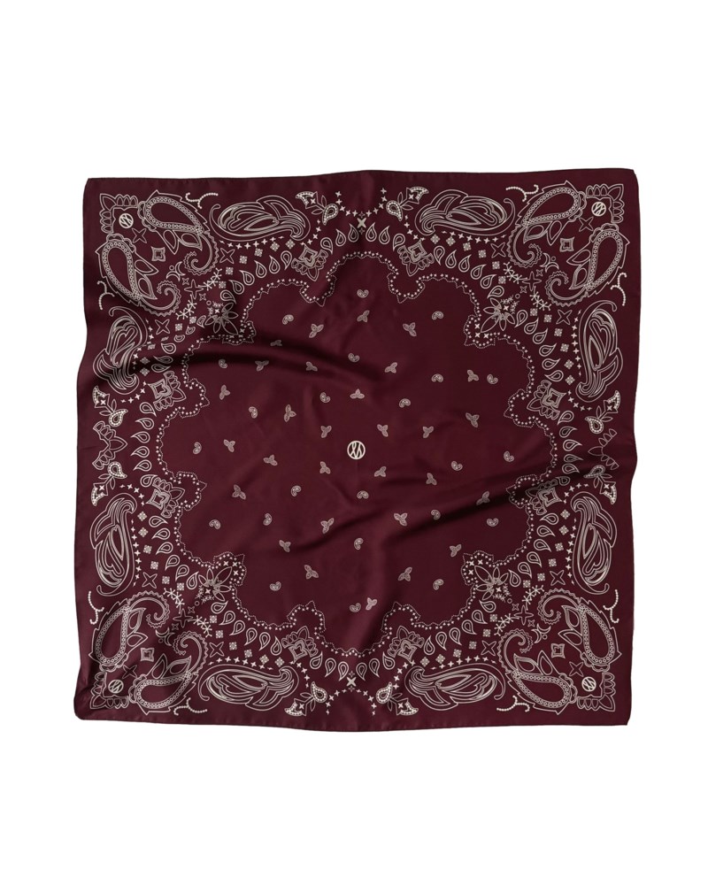 Scarf paisley