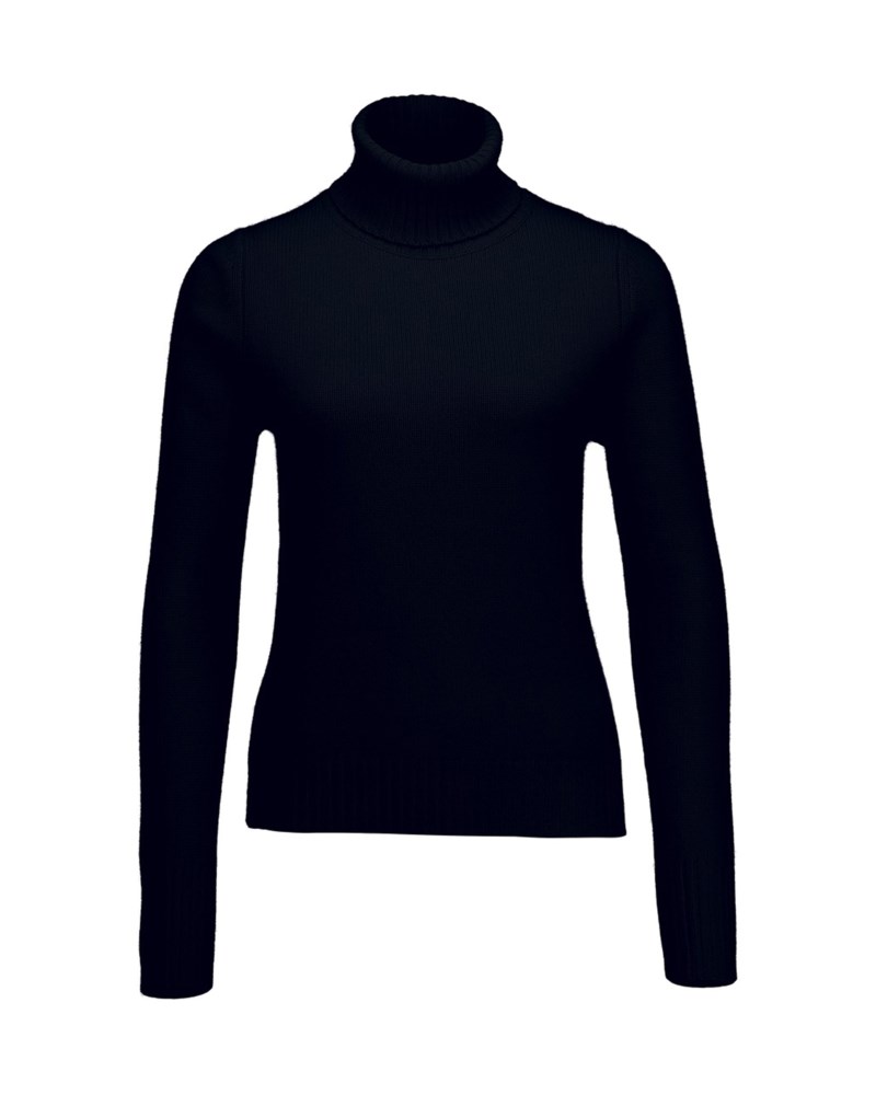 Turtleneck sweater 1/1 1