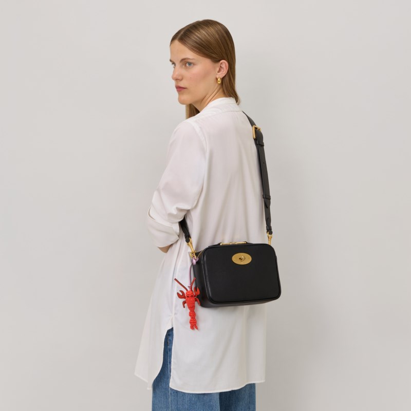 Darley camera bag 2