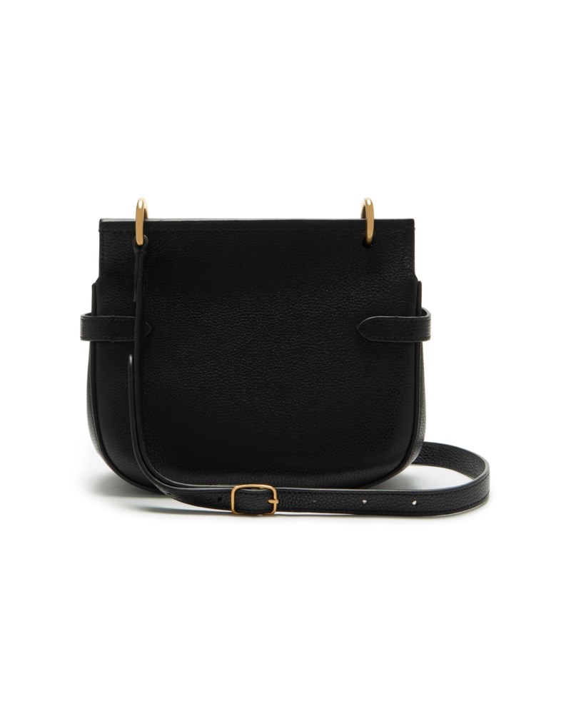 Small amberley satchel 2