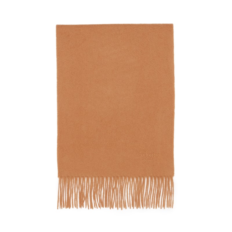 Dark Camel