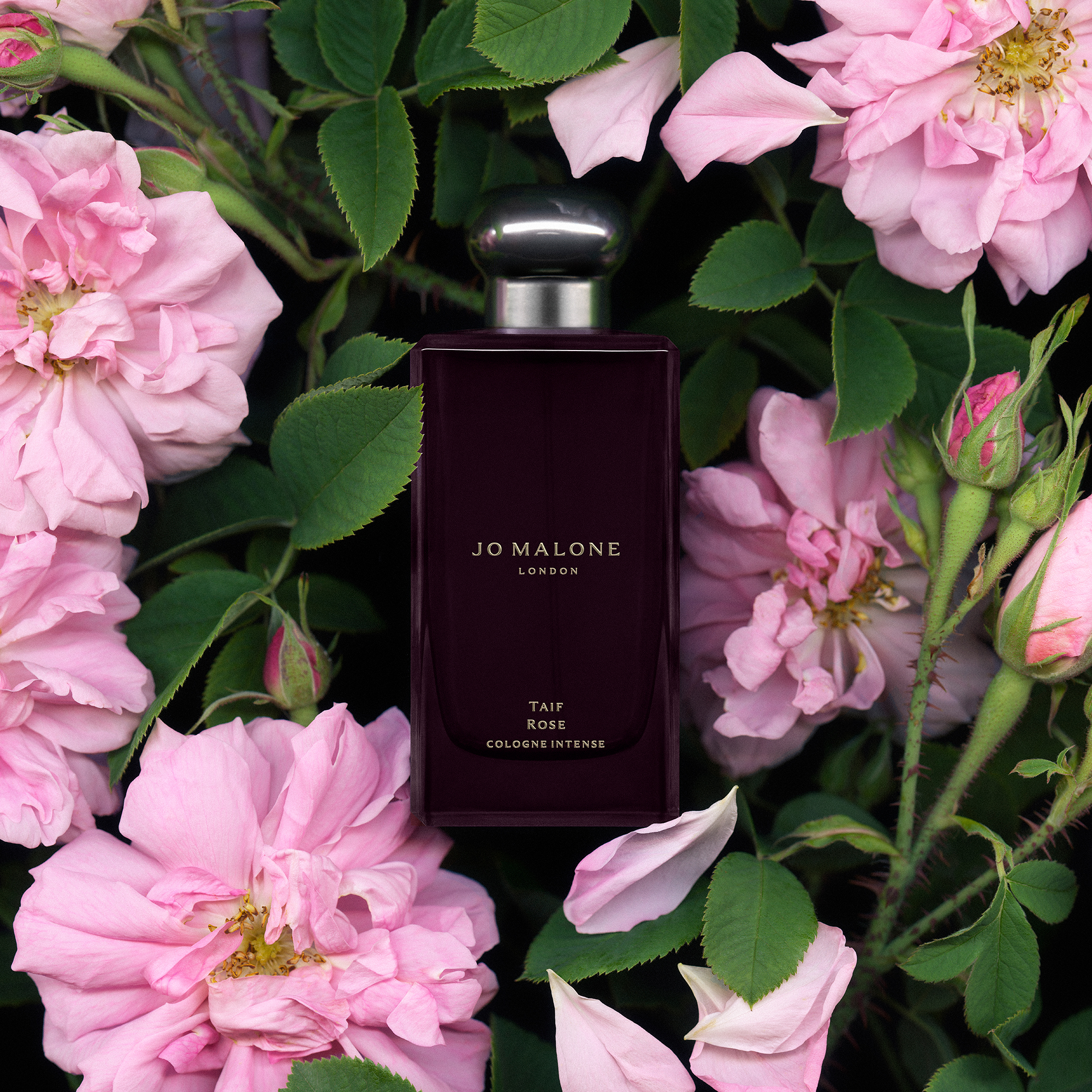 Jo Malone London - Taif rose cologne intense 100 ml | NK