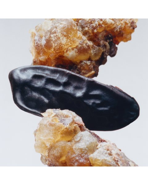 placeholder-image