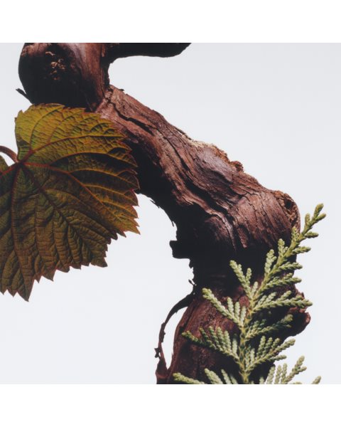 placeholder-image