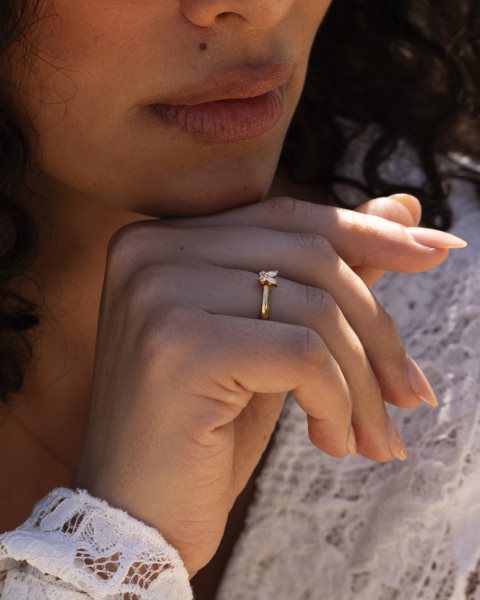 placeholder-image