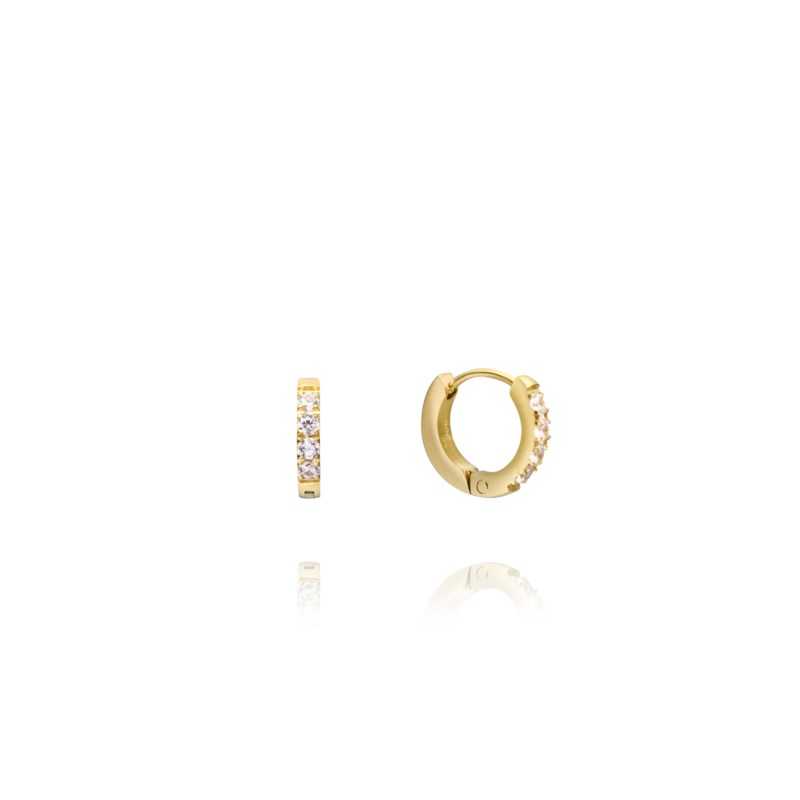 Shiny hoops mini gold 1
