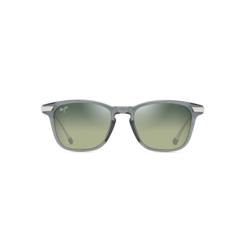 Solglasögon hts623-14 shiny trans grey w/silver