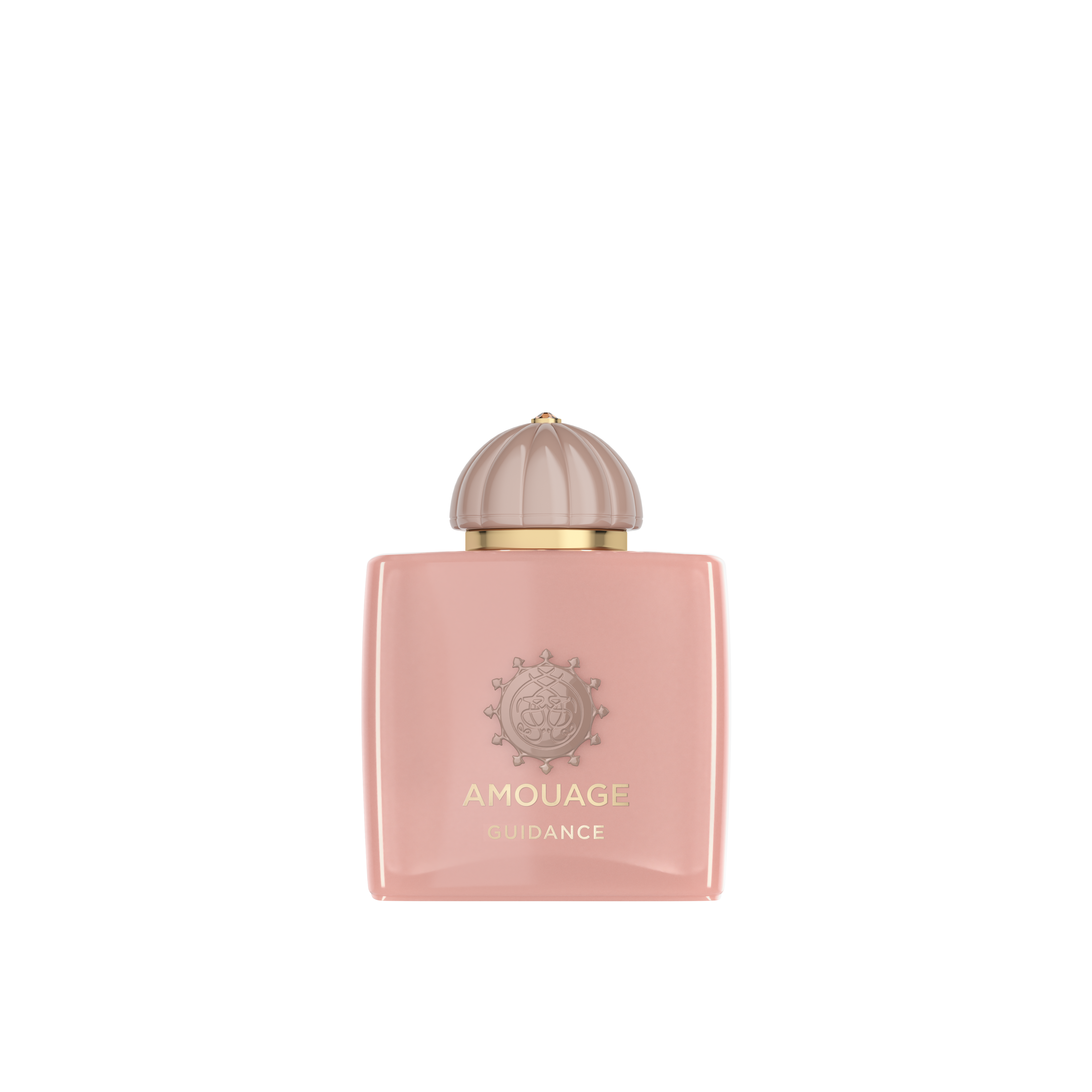 Amouage - Guidance edp 100 ml | NK