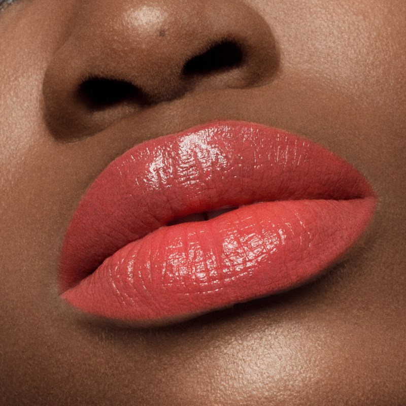 Liquid lipstick vinyl 5