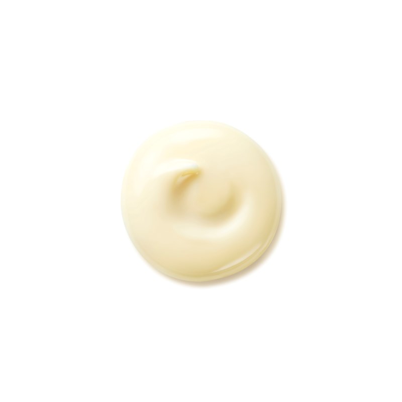 Shiseido Benefiance Wrinkle Smoothing Day Cream Spf25 dagkräm dam – bild 8