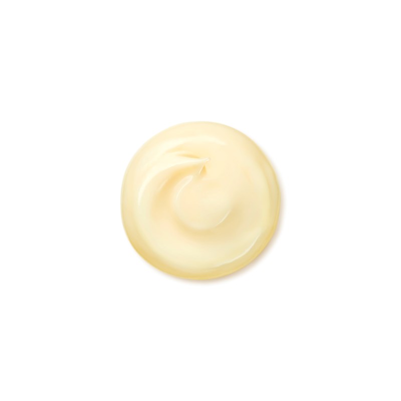 Shiseido Benefiance Wrinkle Smoothing Enriched Cream dagkräm dam – bild 9
