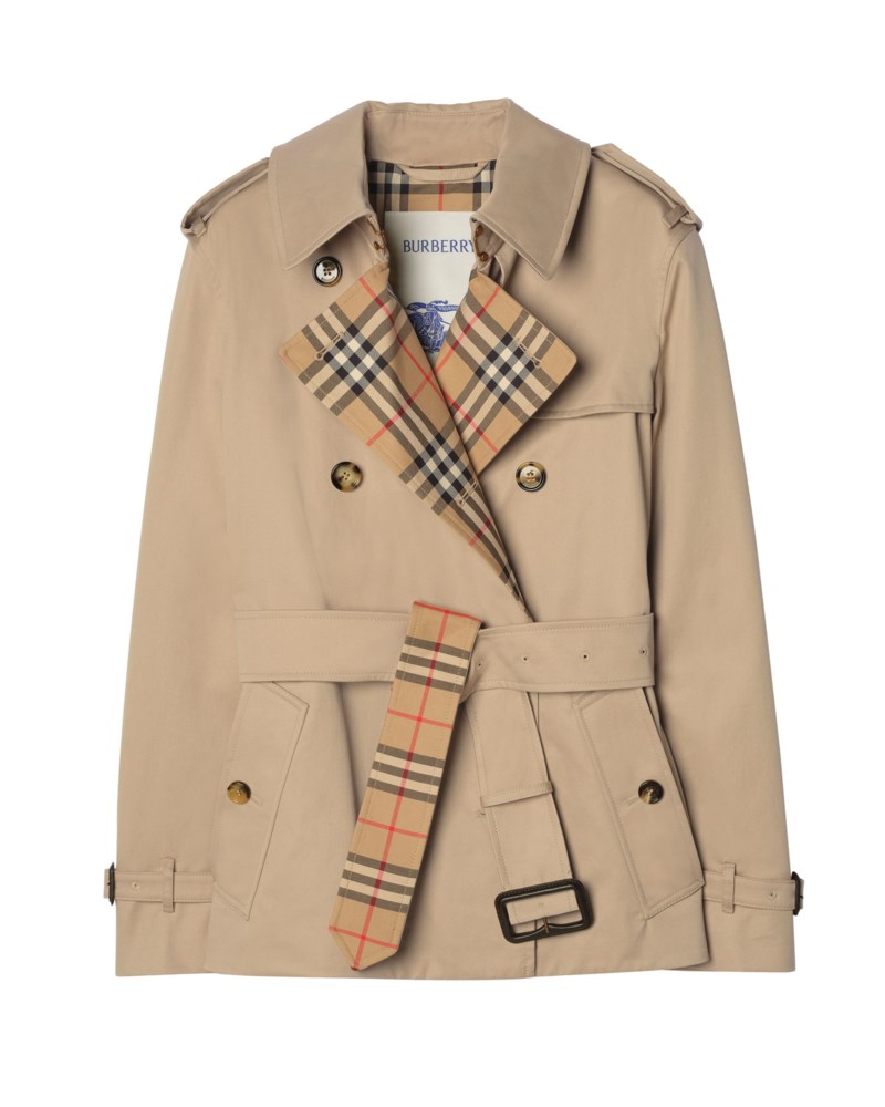 Garbardine lakefield trench jacket