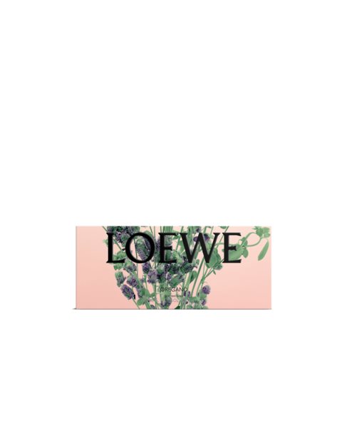 placeholder-image