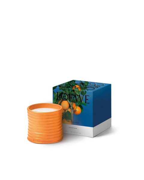 placeholder-image