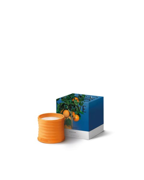 placeholder-image