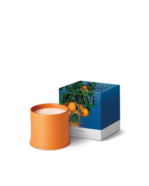 placeholder-image