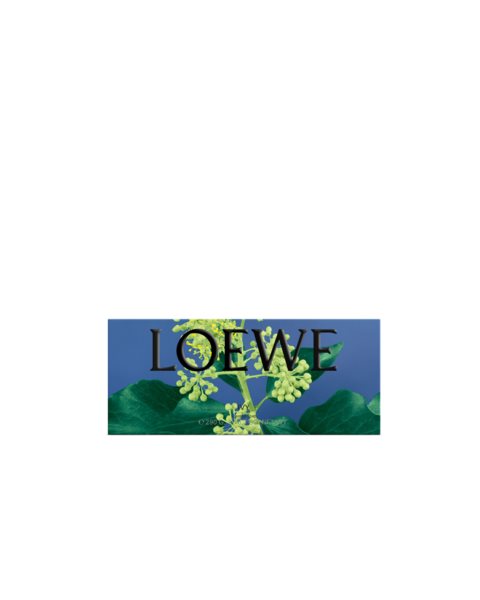 placeholder-image