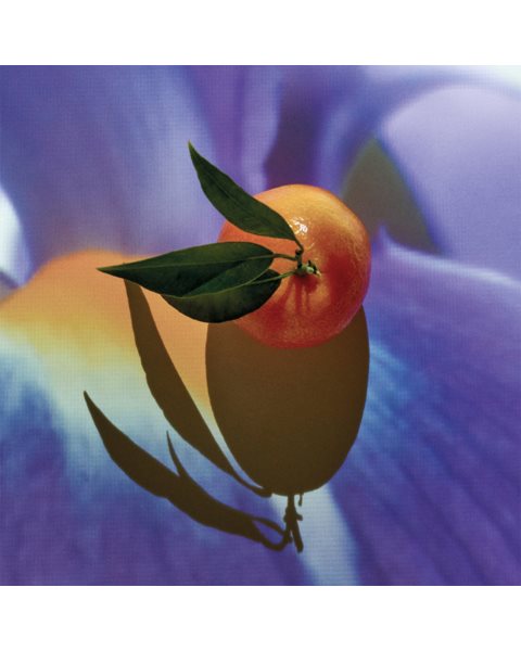 placeholder-image