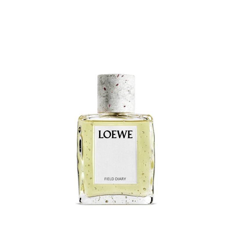 Field diary edp