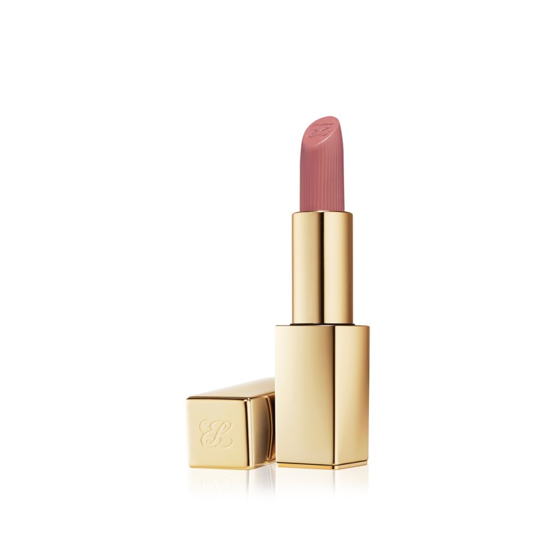 Pure color lipstick matte 816 suit up 1