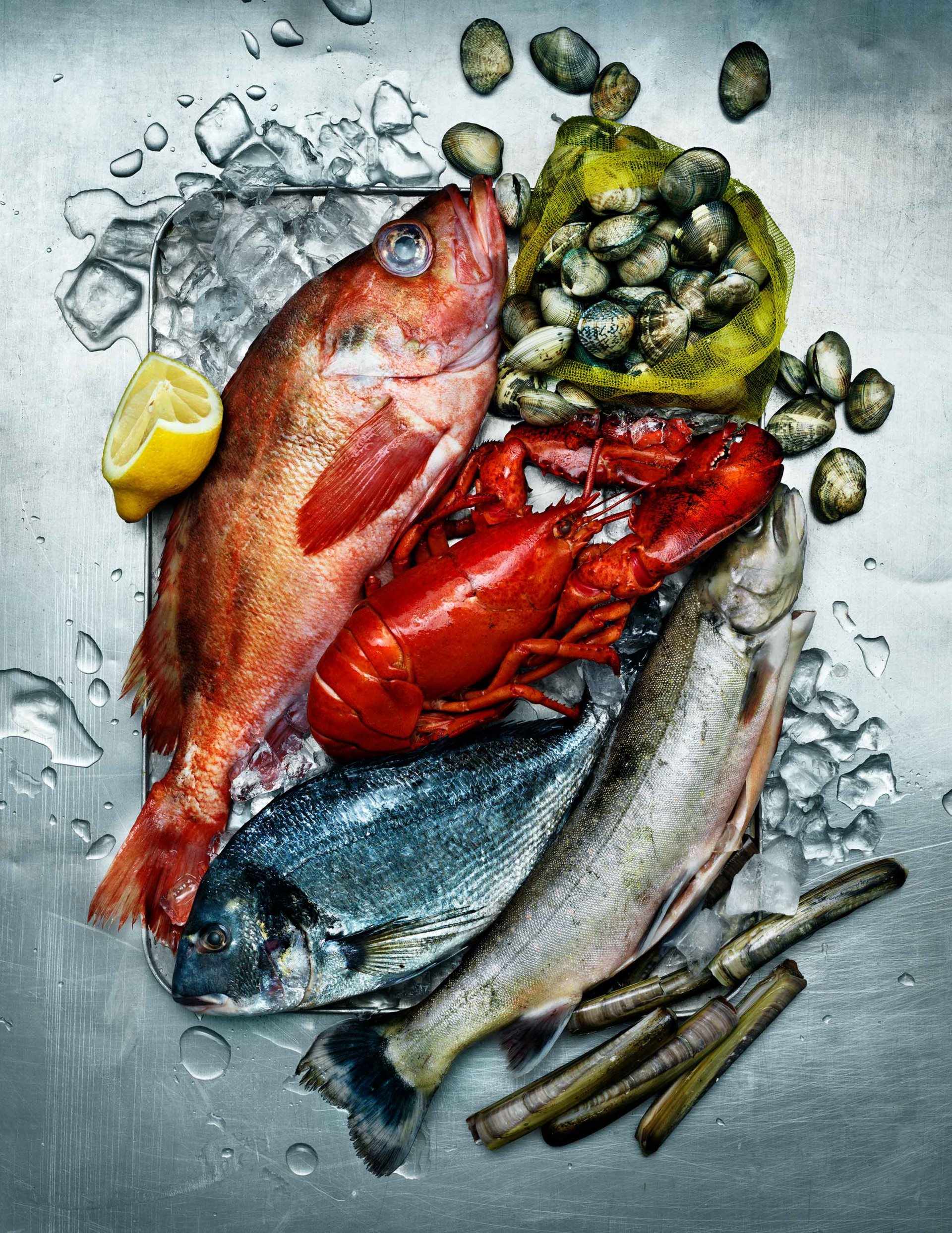 MELANDERS FISK