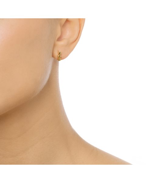 placeholder-image