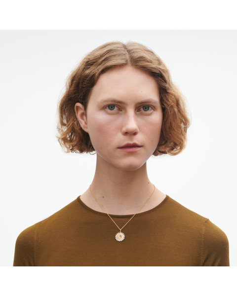 placeholder-image