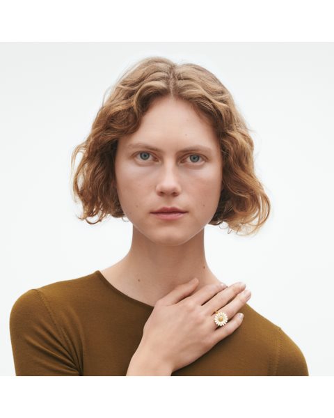 placeholder-image