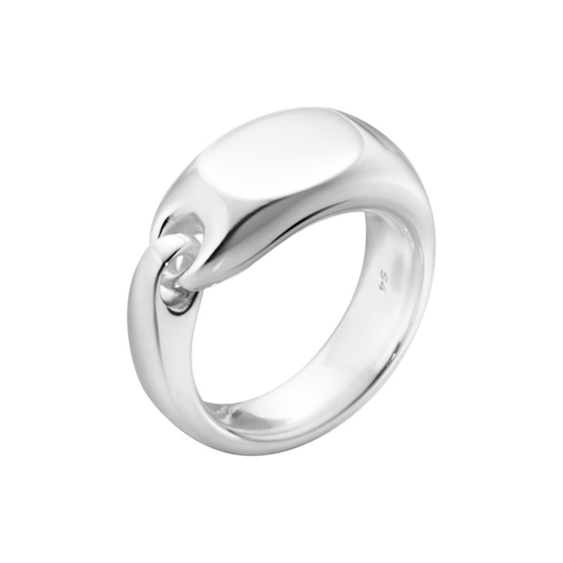 Reflect signet ring