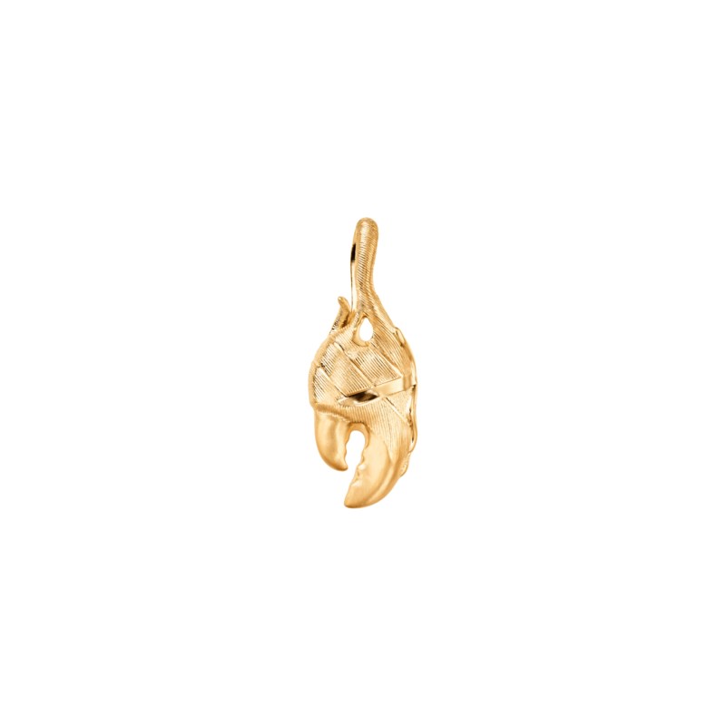 Young fish claw