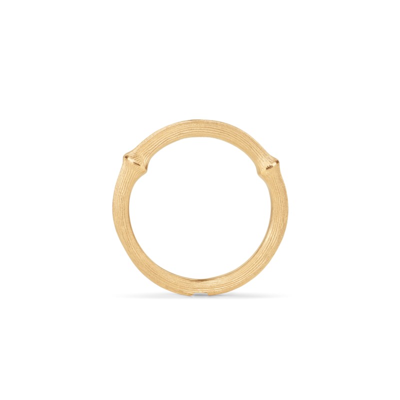 Rg nature ring nr 2