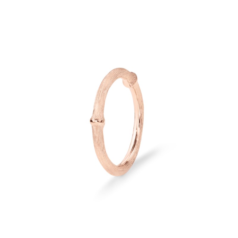 Rg nature ring nr 2