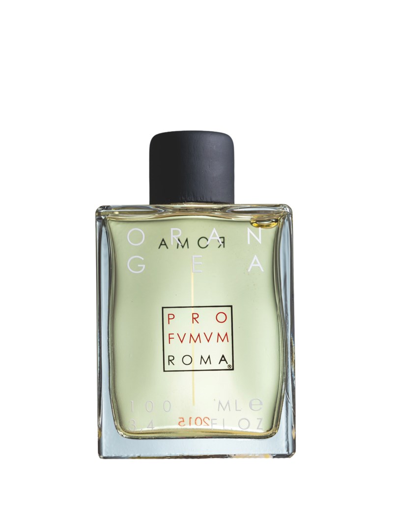 Orangea edp 100 ml